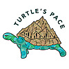 turtles-pace