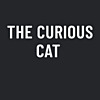 the-curious-cat